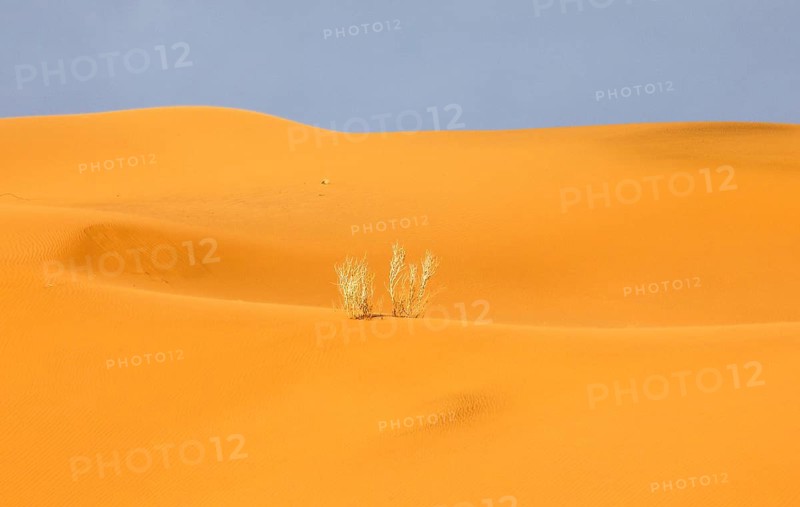 Mesr Desert in Iran. The Mesr Desert is part of the central Dashte-Kavir desert, 12.03.2019