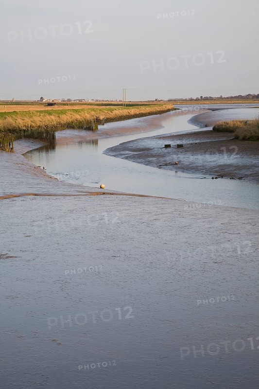 Mudflats and marsh at low tide, Wolsey's Creek, River Blyth, Reydon Marshes, Suffolk, England, United Kingdom, Europe