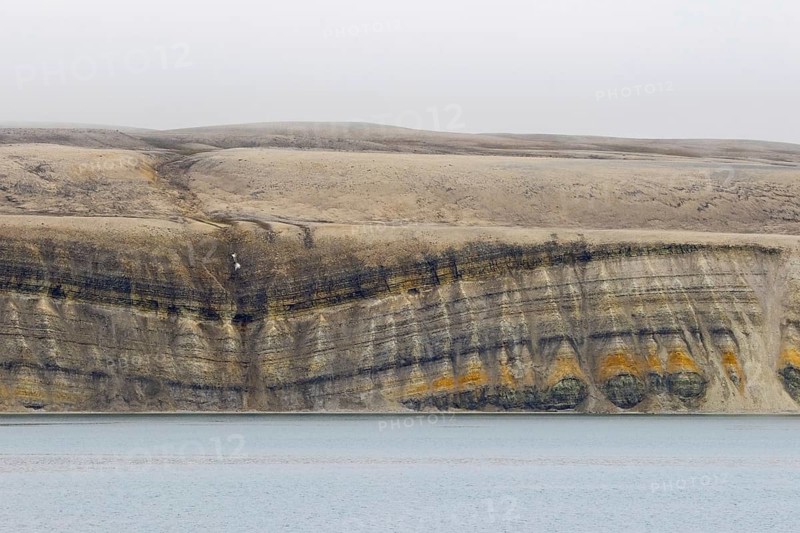 Sea cliff showing limestone and sandstone strata from the Permian period along the Hinlopen Strait, Hinlopenstretet, Spitsbergen, Svalbard, Norway, Europe