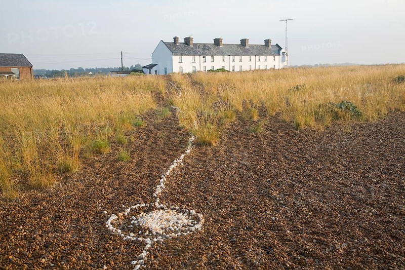 Line of white shells crossing beach to houses at the coastal hamlet of Shingle Street, North Sea coast, Suffolk, England, UK