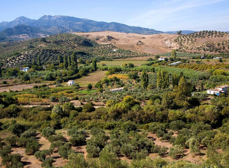 Fertile green valley farmland near Zahara de la Sierra, Cadiz province, Spain, Europe