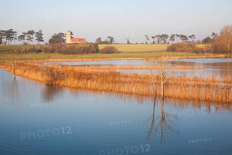 Coastal flooding leading to inundation of land not covered by flood water for 50 years, Ramsholt, Suffolk, England, December 2013