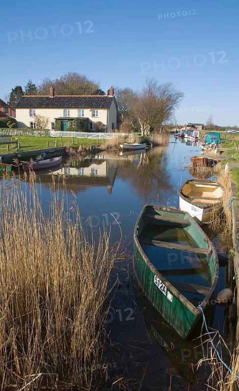 Norfolk Broads landscape at West Somerton, Norfolk, England, United Kingdom, Europe