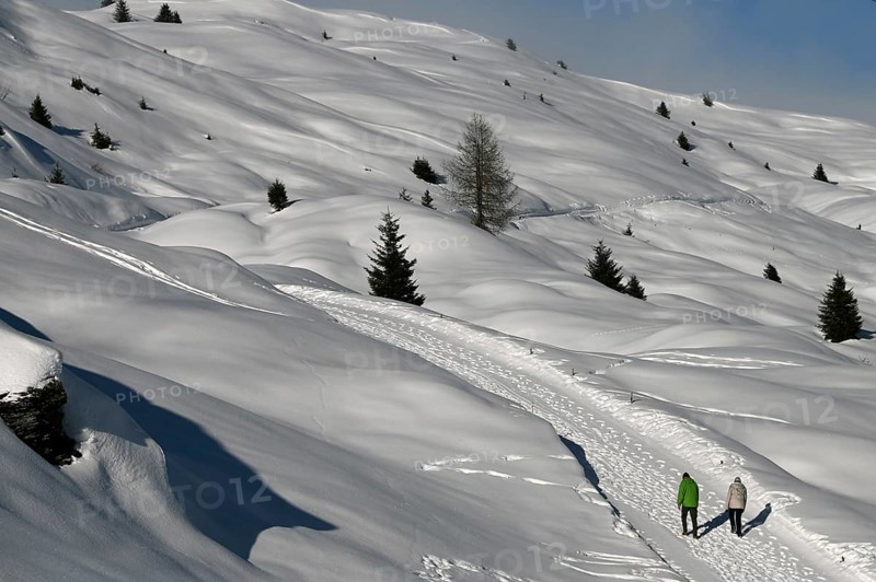 Hiking in a winter landscape in the Beverin nature park Park, Graubuenden, Switzerland, Europe