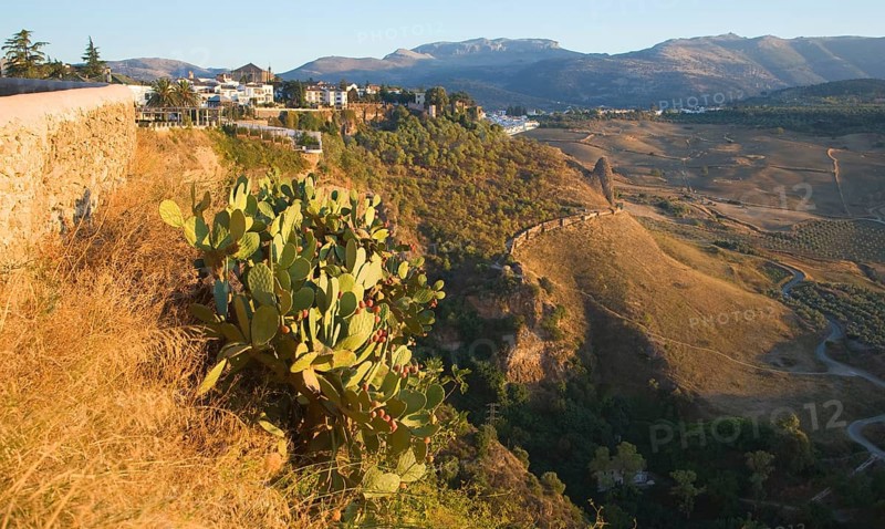 Historic buildings perched on sheer cliff top in Ronda, Spain, Europe