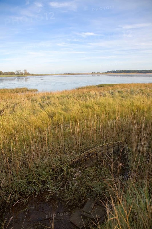 Walberswick National Nature reserve wetland environment marshes Blythburgh, Suffolk, England, United Kingdom, Europe