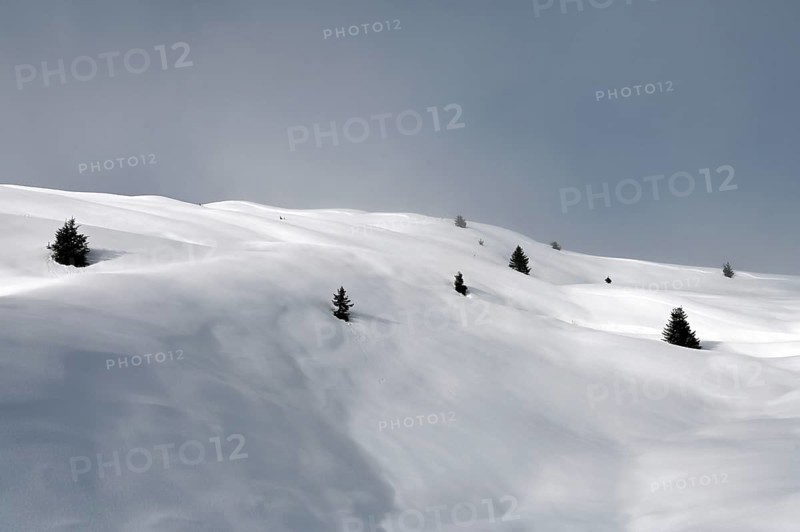 Winter landscape in the Beverin nature park Park, Graubuenden, Switzerland, Europe