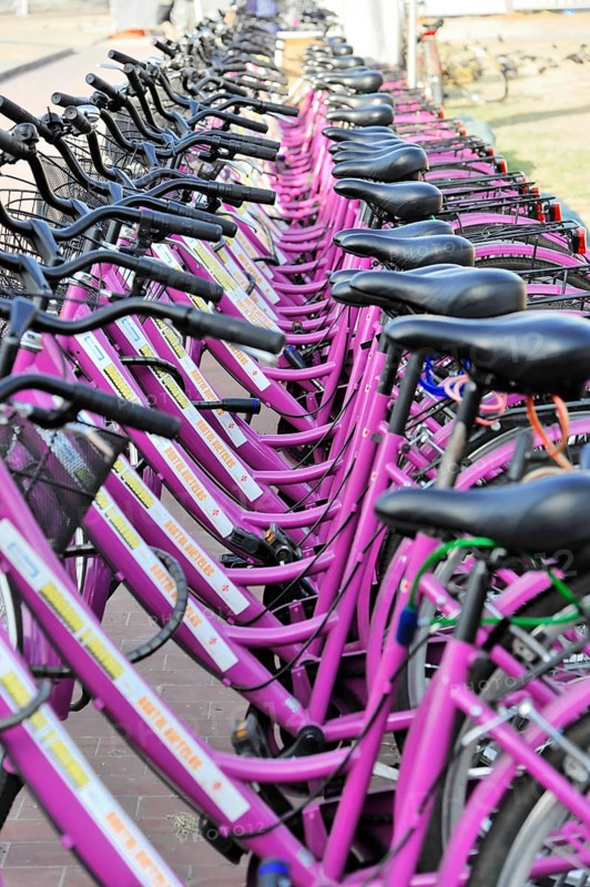 Rental bikes, Stazione Centrale di S. Maria Novella, Florence, Tuscany, Italy, Europe