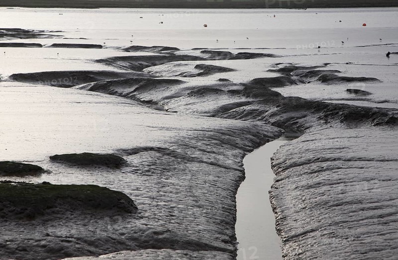 Winter overcast landscape of the River Deben at low tide in late afternoon, Ramsholt, Suffolk, England, United Kingdom, Europe