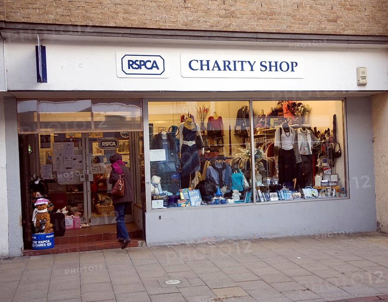 RSPCA charity shop, Ipswich