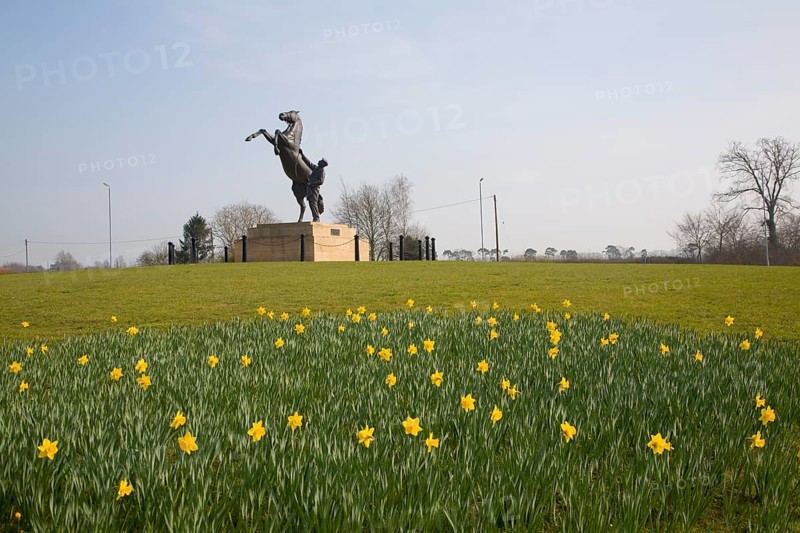 The Newmarket stallion sculpture by Marcia Astor and Allan Sly 2000 near the National Stud, Newmarket, Suffolk, England, United Kingdom, Europe