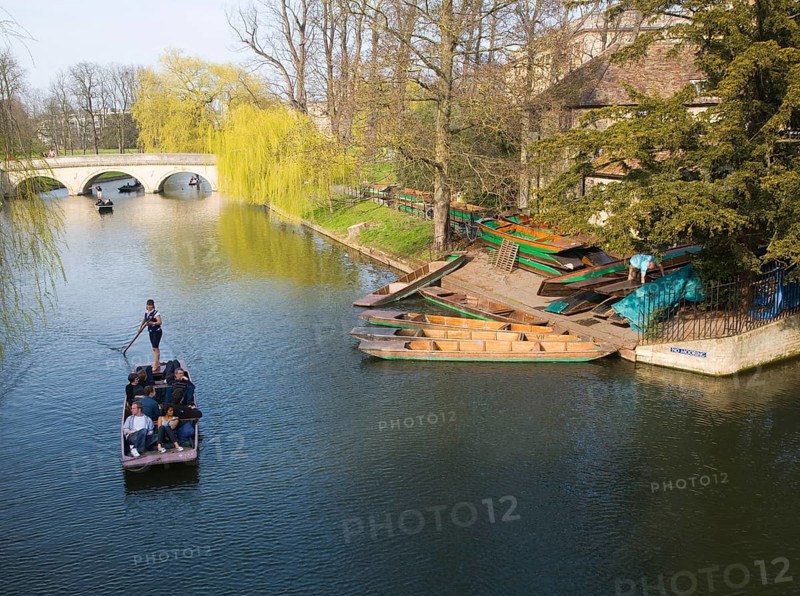 Punting on the River Cam, Cambridge, England, United Kingdom, Europe