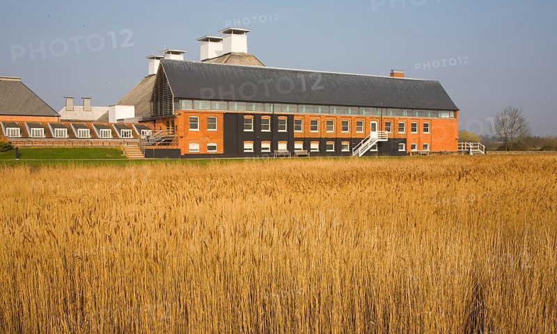 Concert hall seen over reeds at Snape Maltings. Suffolk, England, United Kingdom, Europe