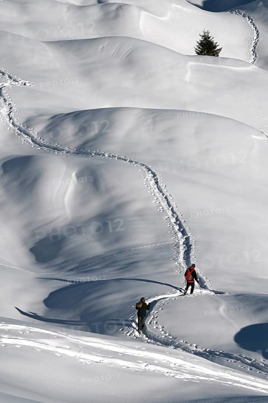 Snowshoe hiking in the Beverin nature park Park, Graubuenden, Switzerland, Europe