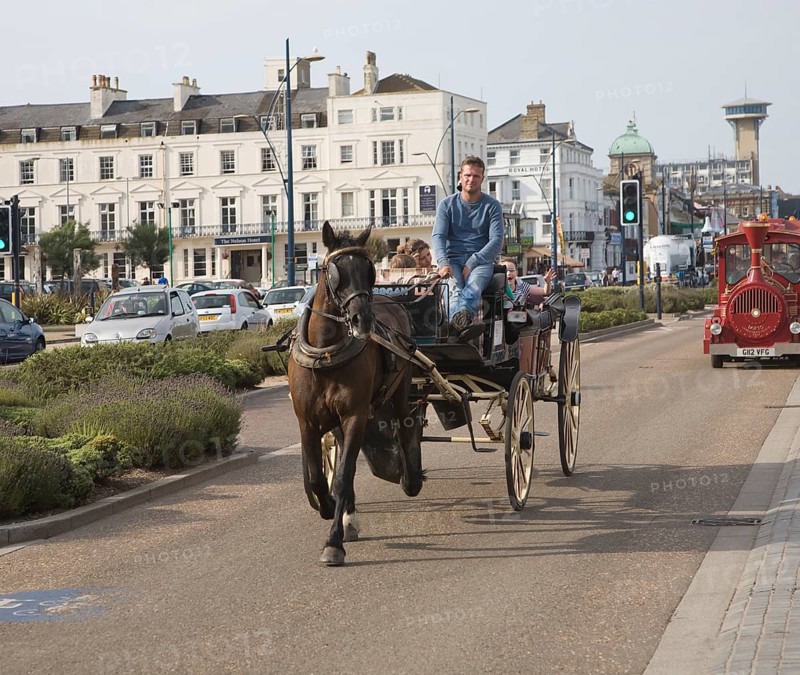Horse and carriage ride along the seafront, Great Yarmouth, Norfolk, England, United Kingdom, Europe