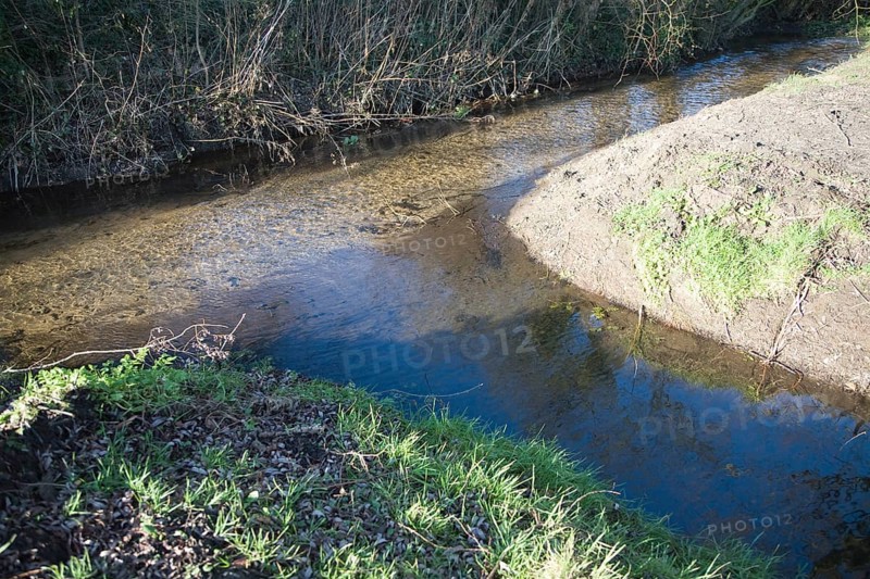 Confluence point of two small streams, Shottisham brook, Suffolk, England, United Kingdom, Europe