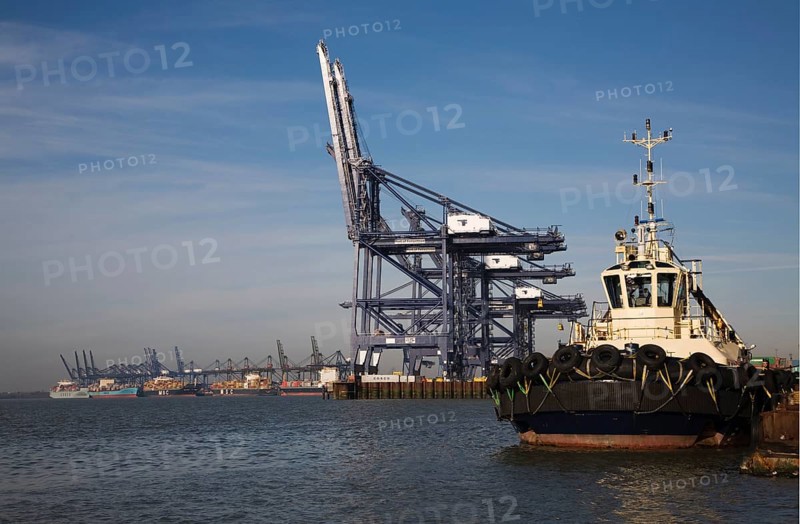 Container cranes on the quayside, Port of Felixstowe, Suffolk, England, United Kingdom, Europe
