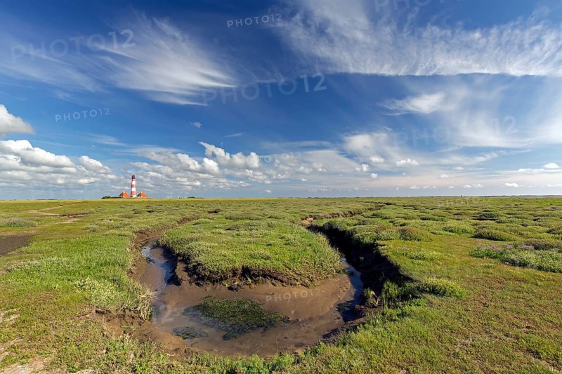 Saltmarsh and lighthouse Westerheversand at Westerhever in summer, Peninsula of Eiderstedt, Wadden Sea National Park, North Frisia, Germany, Europe