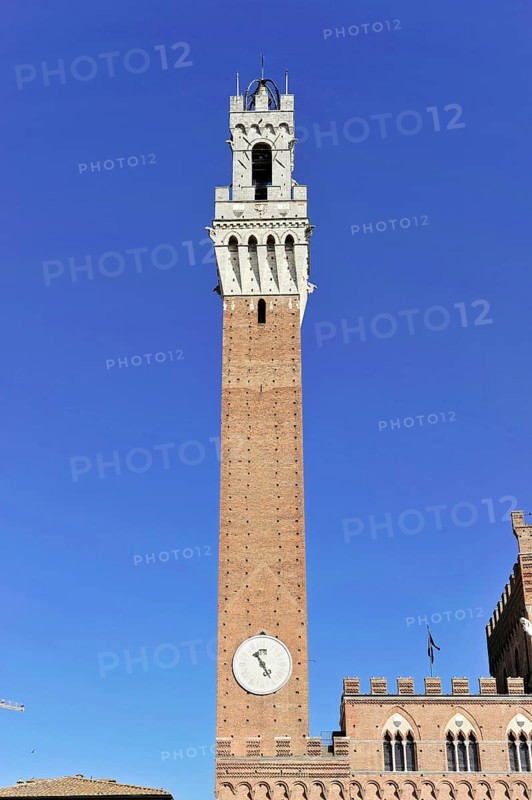 View of the Torre del Mangia bell tower, Siena, Tuscany, Italy, Europe