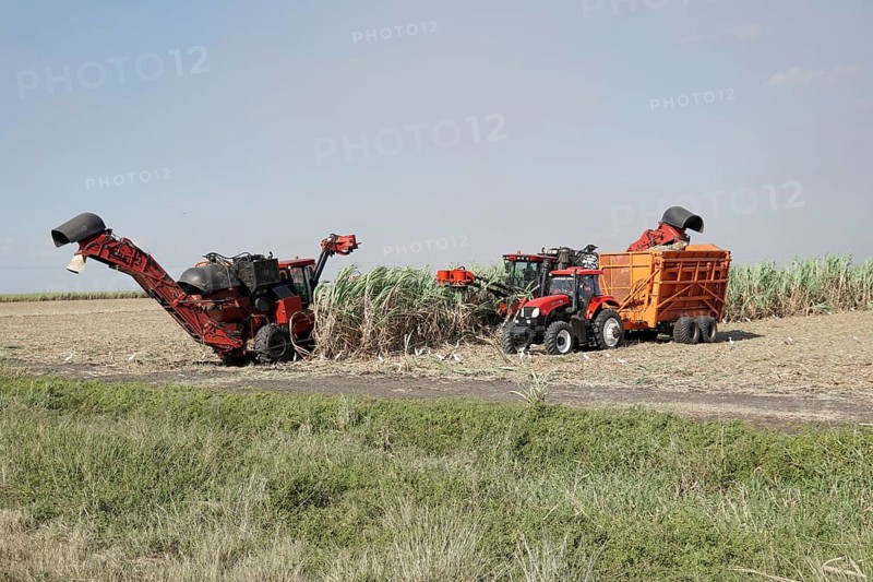 Sugar cane harvest with tractor and machine, near Santiago de Cuba, Cuba, Central America