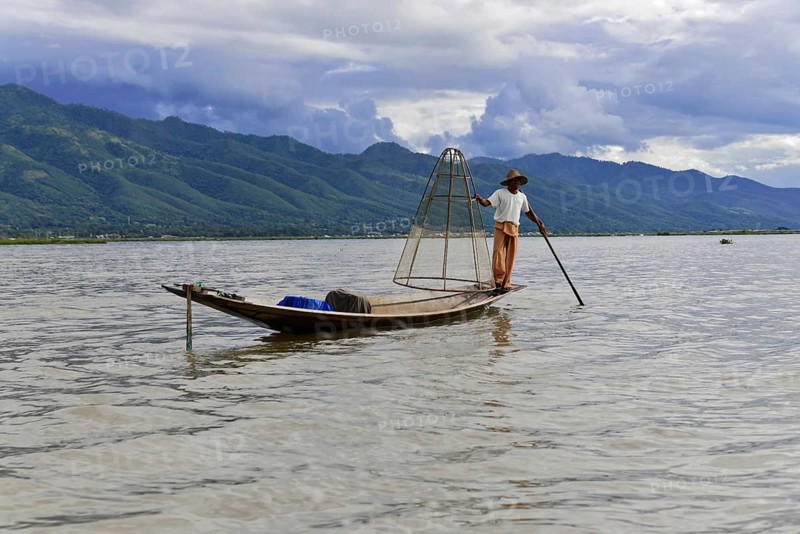 Intha fisherman, local man fishing with traditional conical fishing net, Inle Lake, Burma, Myanmar, Asia