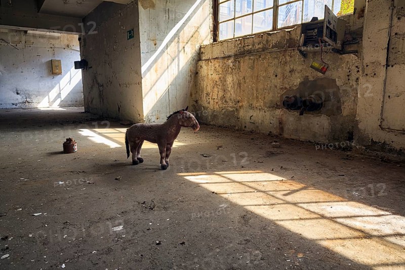 Single plush toy in an empty dilapidated factory building, peeling paint, light falling through window panes, industrial ruin, interior shot, lost place, Germany, Europe