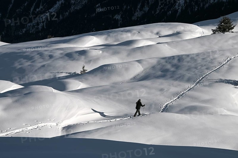 Snowshoe hiking in the Beverin nature park Park, Graubuenden, Switzerland, Europe