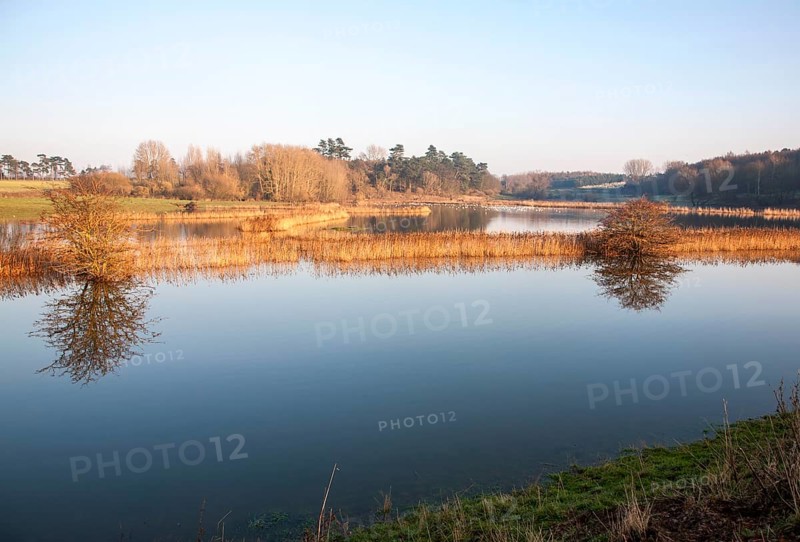 Coastal flooding leading to inundation of land not covered by flood water for 50 years, Ramsholt, Suffolk, England, December 2013