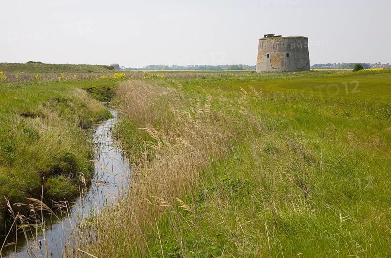 Martello tower stands in field at Alderton, Suffolk, England, United Kingdom, Europe