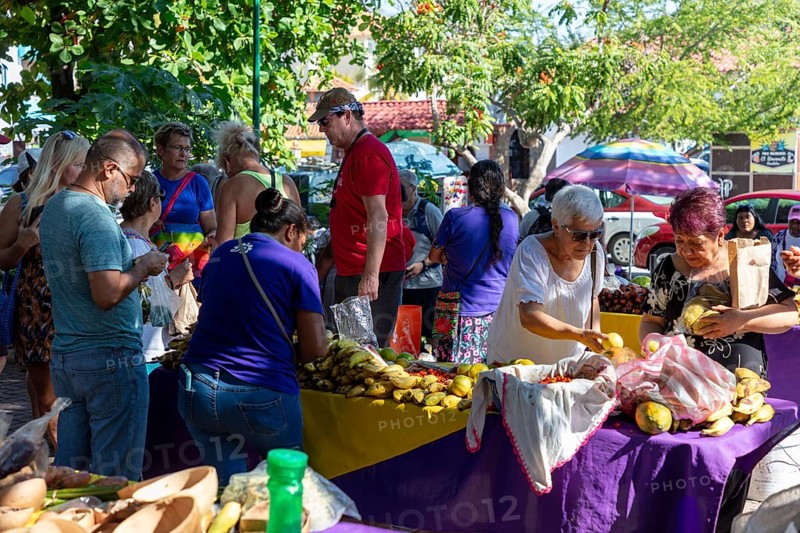 People at the busy market Mercado Organico in Santa Cruz, Pochutla, Baja de Huatulco, South Pacific Coast, State of Oaxaca, Mexico, Central America