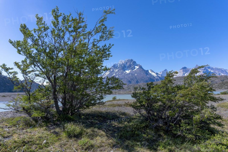 Lago Grey, Torres del Paine National Park, Parque Nacional Torres del Paine, Cordillera del Paine, Towers of the Blue Sky, Region de Magallanes y de la Antartica Chilena, Ultima Esperanza Province, UNESCO Biosphere Reserve, Patagonia, End of the World, Chile, South America