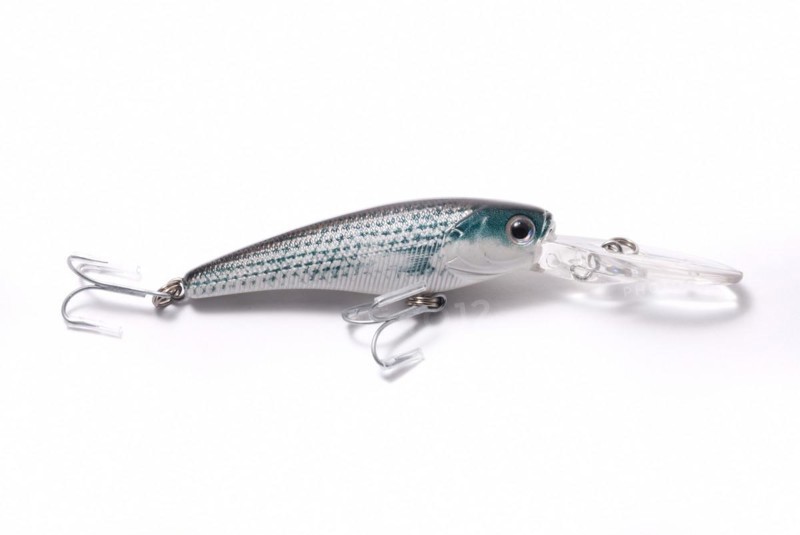 Fishing Lure