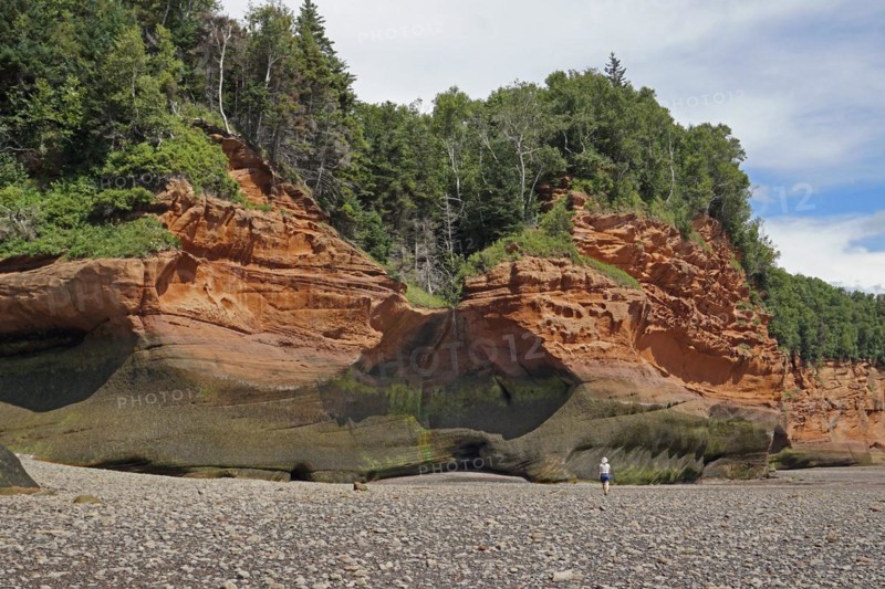 Wooded cliffs, red sandstone, Five Islands Provincial Park, Fundy Bay, Nova Scotia, Canada, North America