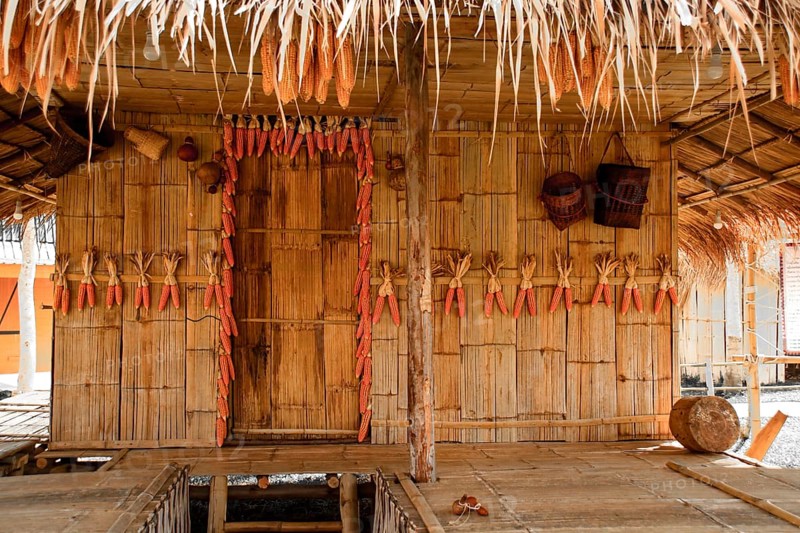 Yellow corns hung to dry in a traditional indigenous house from the Lu Tribe in Chiang mai Thailand