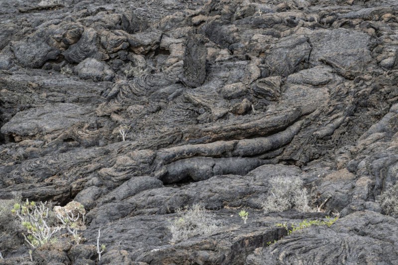 Lava structures, Costa Teguise, Lanzarote, Canary Islands, Spain, Europe