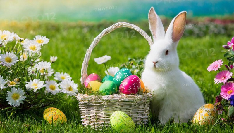 Ai generated, An Easter basket with coloured eggs in a meadow with colourful flowers, in the basket a white rabbit, symbolic picture Easter, animal children, dwarf rabbit