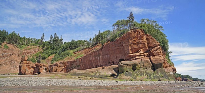 Wooded cliffs, red sandstone, Five Islands Provincial Park, Fundy Bay, Nova Scotia, Canada, North America