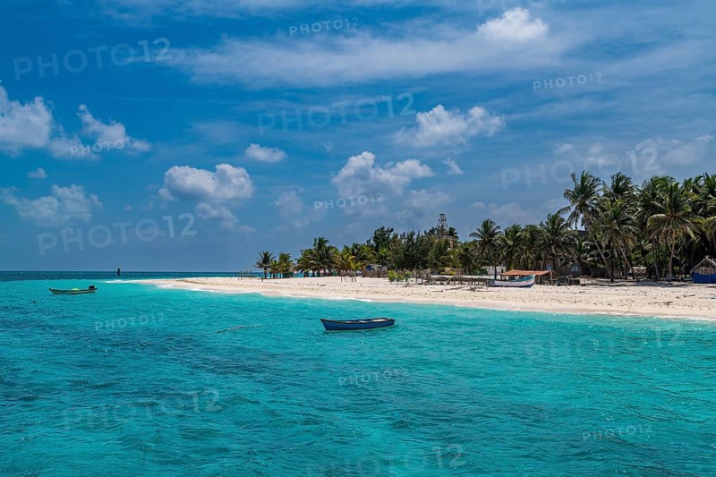 Palm fringed white sand beach, Agatti Island, Lakshadweep archipelago, Union territory of India