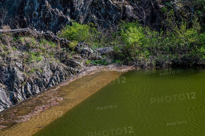 Green vegetation lines the tranquil riverbank, in South Korea