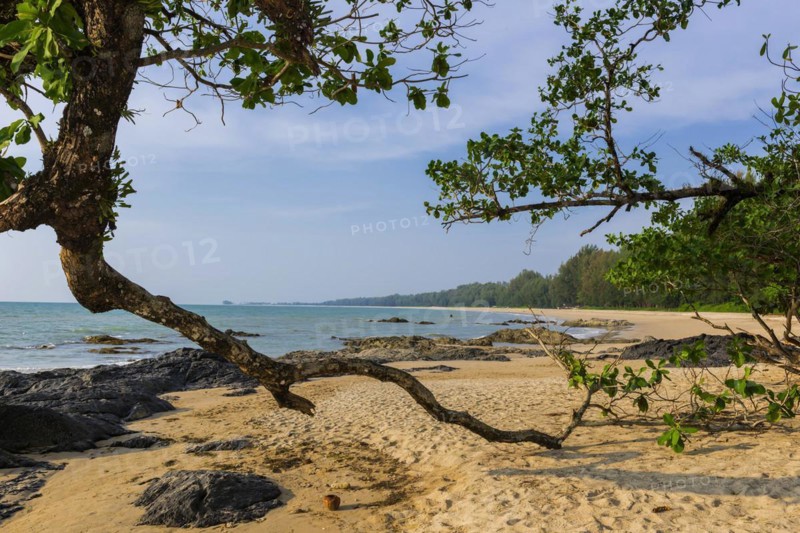 Beach landscape at Silent beach in Khao lak, beach, sandy beach, beach holiday, holiday, travel, tourism, sea, seascape, coastal landscape, landscape, rocky, stony, ocean, beach holiday, flora, tree, forest, nature, lonely, empty, nobody, dream beach, beautiful, weather, climate, sunny, sun, paradise, beach paradise, Thailand, Asia