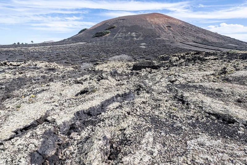 Lava landscape overgrown with lichens and succulents, in the background vineyards protected by dry stone walls, Lanzarote, Canary Islands, Spain, Europe