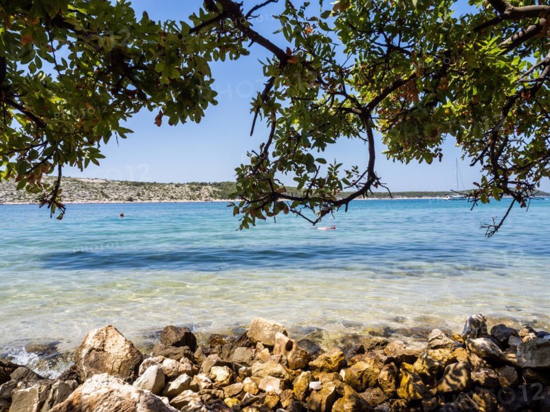 Bathing bay, branches provide shade, island of Rab, Kvarner Gulf Bay, Croatia, Europe