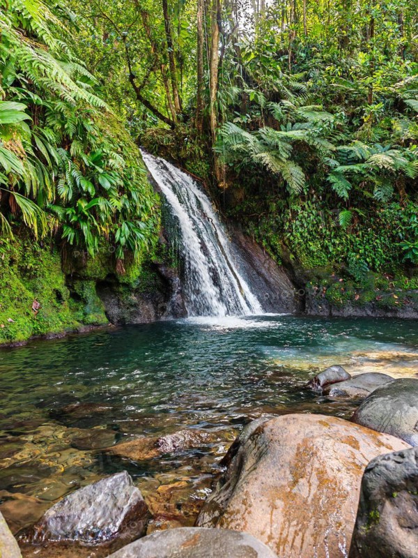 Pure nature, a waterfall with a pool in the forest. The Ecrevisses waterfalls, Cascade aux ecrevisses on Guadeloupe, in the Caribbean. French Antilles, France, Europe