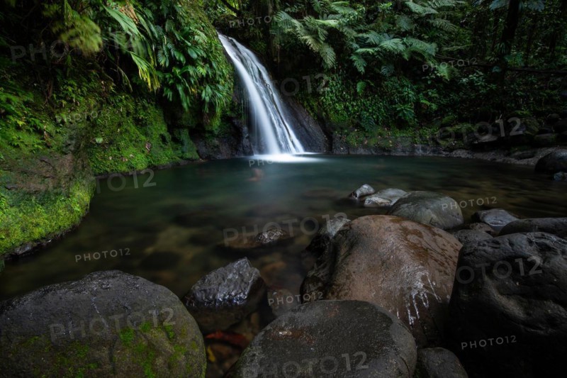 Pure nature, a waterfall with a pool in the forest. The Ecrevisses waterfalls, Cascade aux ecrevisses on Guadeloupe, in the Caribbean. French Antilles, France, Europe