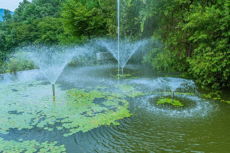 Pond with fountains creating spray over water lilies and lush greenery, in South Korea