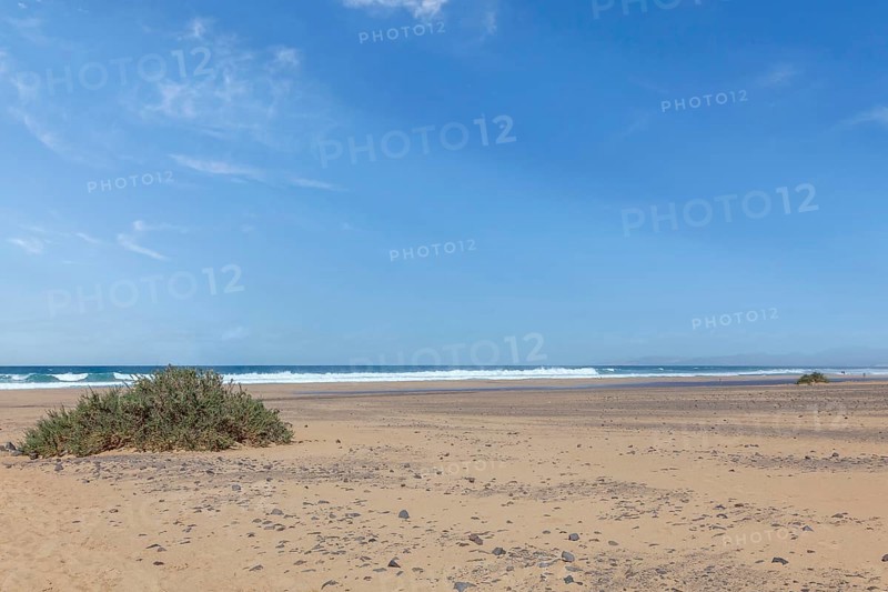 Playa de Cofete, Jandia, Fuerteventura, Canary Islands, Spain, Europe