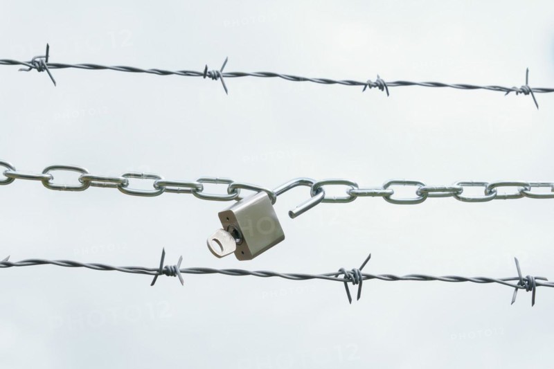 Chain with open padlock on a barbed wire isolated on a white background, freedom concept