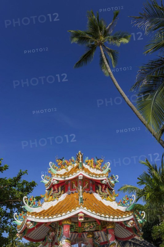 Buddhist temple at Maenam Beach, beach, religion, temple complex, Buddhism, sacred, religious, world religion, offering, pilgrimage site, pray prayer, Asian, Buddha, colourful, tourism, travel, culture, history, world religion, palm tree, outside, building, faith, palm tree, Koh Samui, Thailand, Asia