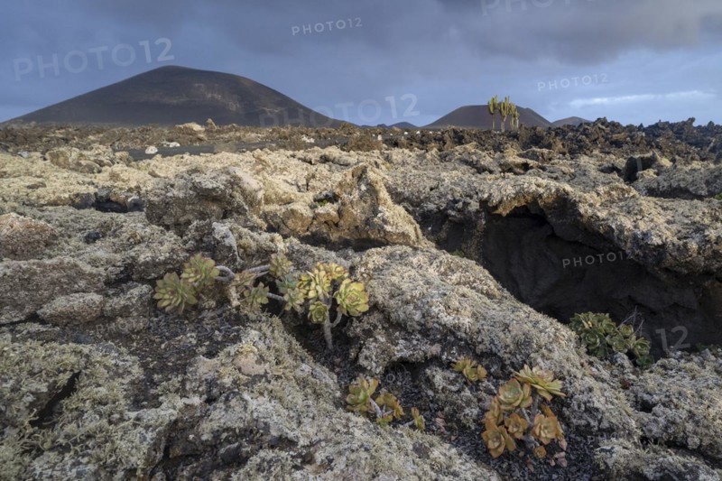 Caldera Colorada, Parque Natural de Los Volcanes, Masdache, Lanzarote, Canary Islands, Spain, Europe