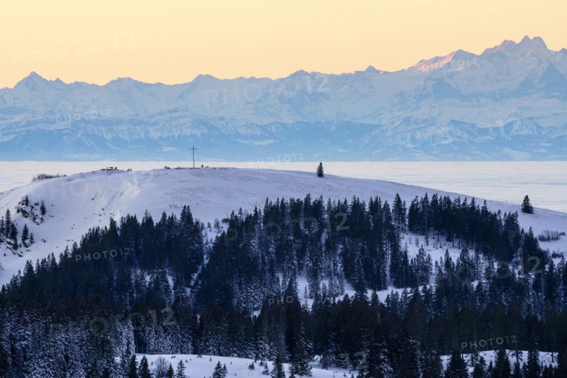 View from the Feldberg over the Herzogenhorn to the Swiss Alps, sunrise, Breisgau-Hochschwarzwald district, Baden-Wuerttemberg, Germany, Europe